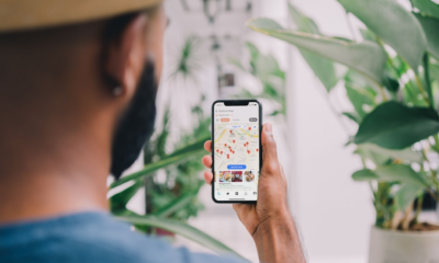 App Identificar Plantas: Erros a Evitar